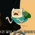 [드루와] 진짜반배<b>정역</b>대급이다..