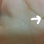 <b>코옆</b>에 있던거 뽑았는데 이거 뭐야??ㅋㅋ??