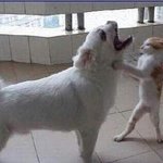 만나면 <b>혼날</b> 각오해