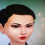 [댓글부탁해] 심즈로 <b>치타</b> 만들어봄!