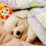 <b>잘</b> <b>자</b>