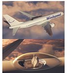 [유머판] 항공기 <b>VIP</b> 특등<b>석</b>