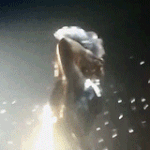 [EXO] <b>털기춤</b> 다른 각도