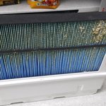 <b>렌탈</b> 공기청정기 곰팡이