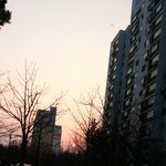 나진짜 자<b>퇴각</b>이야