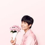 [드루와] 박보검 배경사진 뿌린다 필요한사람 가져가