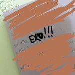 [EXO] ㅅㅂ 내 심정 왜 영어로 자기소개를 <b>하래</b>