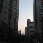 [세븐틴] 로즈쿼츠랑 세레니티
