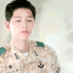 [댓글부탁해] ㄹㅇ내 진로가 걸렸어..ㅜ도와줘ㅜㅜㅜ