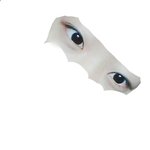[댓글부탁해] <b>쌍수</b>랑앞트임생각중인데 봐주라ㅠ