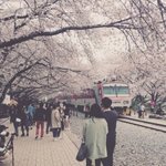 [드루와] 우리학교 이번일학년들귀여운거같아!