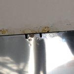 [방탈죄송] 윗집 강아지 오줌이 우리집으로 뚝뚝떨어져요.