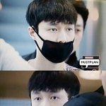[EXO] 윽엑 비둘기로 <b>진화</b>중