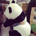 [동성] (동성)철부지 시즌2 2화