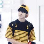 [방탄소년단] <b>꿀벌</b>짐니