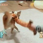 [EXO] ㅅㅂ <b>양도</b> 괜히한듯