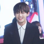 [방탄소년단] 헐 태형이랑 플라워브로 같이한 민jae분