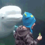 [EXO] 이거 경수가 <b>놀림</b>받다 지쳐 빼애애앢! 하는거같아