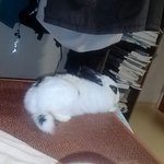 몽촌<b>토성</b>간우리아가ㅠ