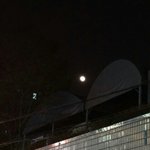[댓글부탁해] 나<b>레즈</b>인거 말하려고하는데
