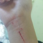 [조언부탁해] 우리엄마정신상태가 약간이상한거같아..