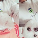 1살 <b>얼</b><b>평</b>좀