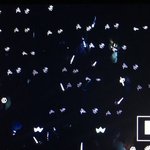 [EXO] 새끼따라서 애미들도 <b>민폐</b>짓