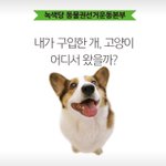 [강아지] 꼭봐주세요!!!! 강아지불법번식장 실태, <b>서명</b>해주세요