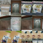 성덕 바우만 만원 완료.즉가라쓰-기-의 십대들.즉나 현희.<<<...