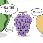 애드라 <b>케리어</b> 20인치랑 24인치!!