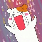 얘<b>드랑</b>망했어ㅠㅠ내머리
