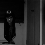 <b>저목</b>평가해주세요