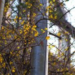 [방탄소년단] 오늘의 새벽 추천곡