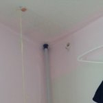 나의 동거남 <b>도칠</b>이 "새로운 캣타워"