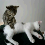 난쟁ㅇㅏ 밥먹고 <b>디비자</b>냐