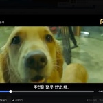 개성격<b>몰라</b>~~~