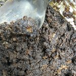 [EXO] 나 난생처음 <b>브라우니</b> 만들어봤눈데