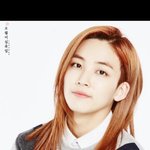 [세븐틴] 타팬인데