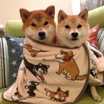 오늘 처음 야자했는데 <b>몸살</b>걸린듯..