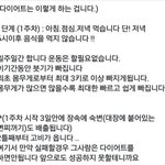 <b>식단</b>다이어트, 도움을주세요ㅜ!