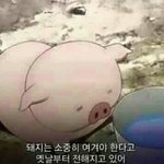 [댓글부탁꼭] 다이어트 응원좀