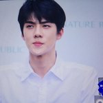 [EXO] 둥이면 <b>미안</b>한데 얘 어깨봐