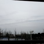 1.1.2.비물질.즉.쑈.SHAW.에서물질이됀