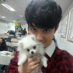 [EXO] 일코 <b>해제</b>한다 vs 안한다