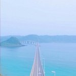 sns은 하면 안되는듯...