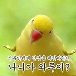 [시우민] ㅅㄷ오늘 <b>새</b>음원 많이 나오는 <b>날</b>이지?