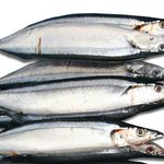 [방탄소년단] 똔뚜두두두둔뚜루루루뚜두둔둔둔