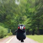 [방탄소년단] 짹짹이 <b>자니</b> ? 내목소리들리니?