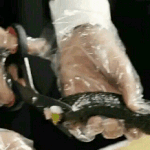 [카이] 인어들 뜬금이지만 <b>김밥</b> 꽁다리 안머거?