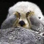 [10대의성] 오빠방에서 내 <b>속옷</b>을 발견했어...